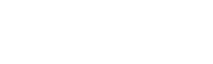 Dr Pardeep Bageja